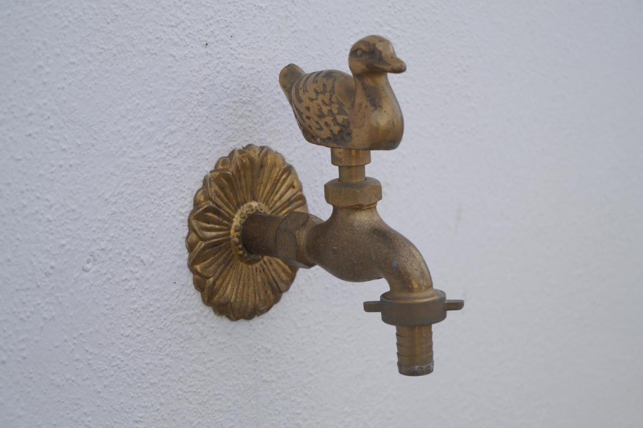 Bed and Breakfast Tapada Do Chafariz Estremoz Exterior foto